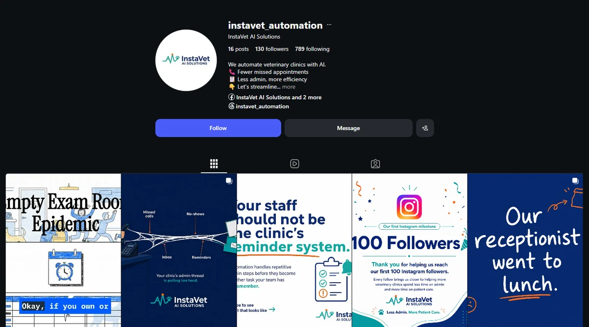 InstaVet social media profile overview